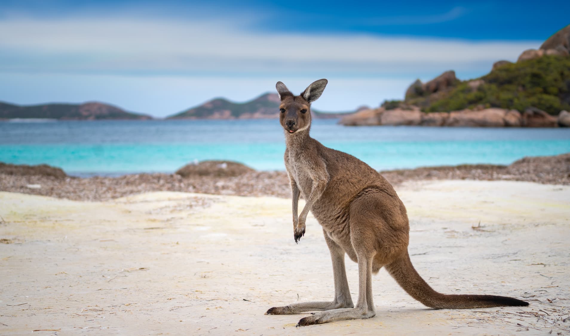 Oceania